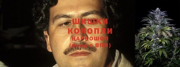 гидра Верея