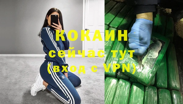 гидра Верея