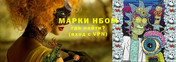 гидра Верея