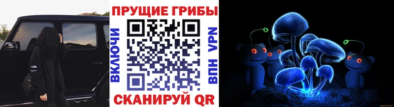 Галлюциногенные грибы Magic Shrooms  Ярцево 
