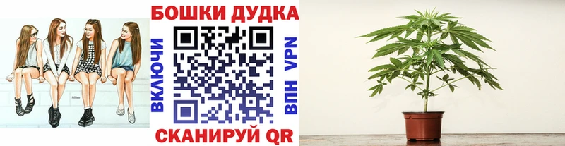 магазин    Ярцево  Бошки Шишки планчик 